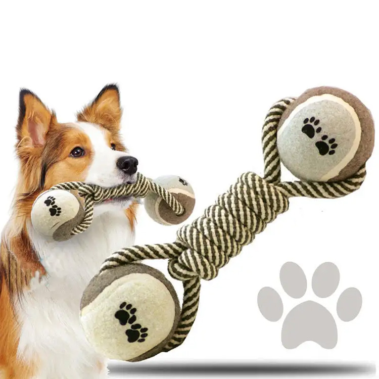 Les mâcher des chiens sont-ils sains pour les chiens?