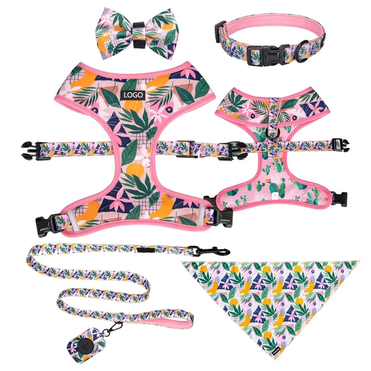 Collier et laisse réglables sans traction pour chien