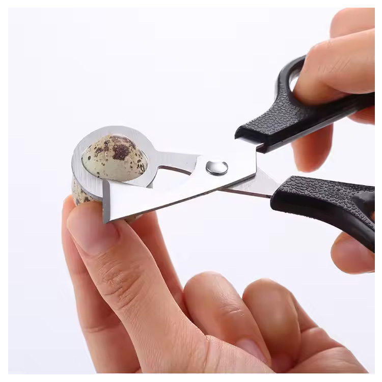Outil de cuisine bon marché pigeon à caille oiseau d'oeuf à œufs Cutter Cutter