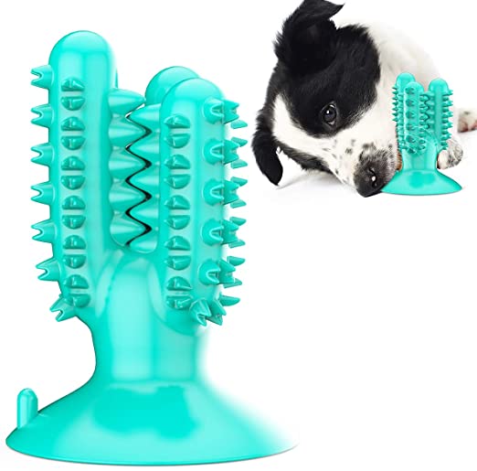 Jouet à mâcher pour brosse à dents pour chien