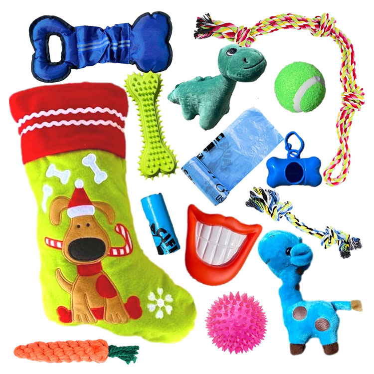 Cadeaux adorables durables Jouets de bas de Noël pour chien