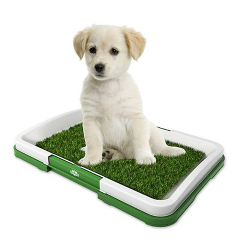 Plateau de pot d'intérieur pour animaux de compagnie Grass Mat