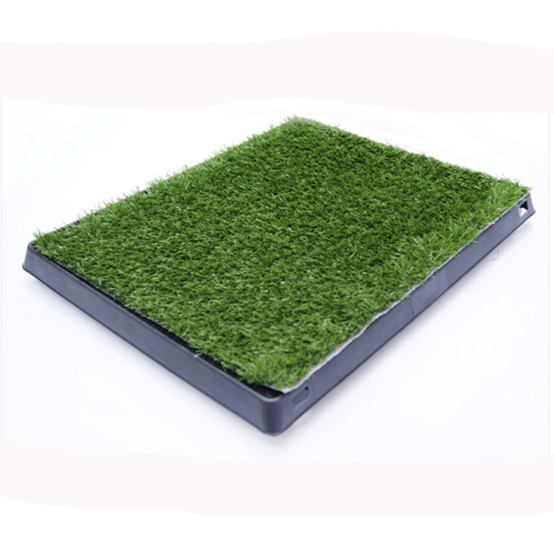 Tapis d'herbe d'intérieur pour chien avec plateau