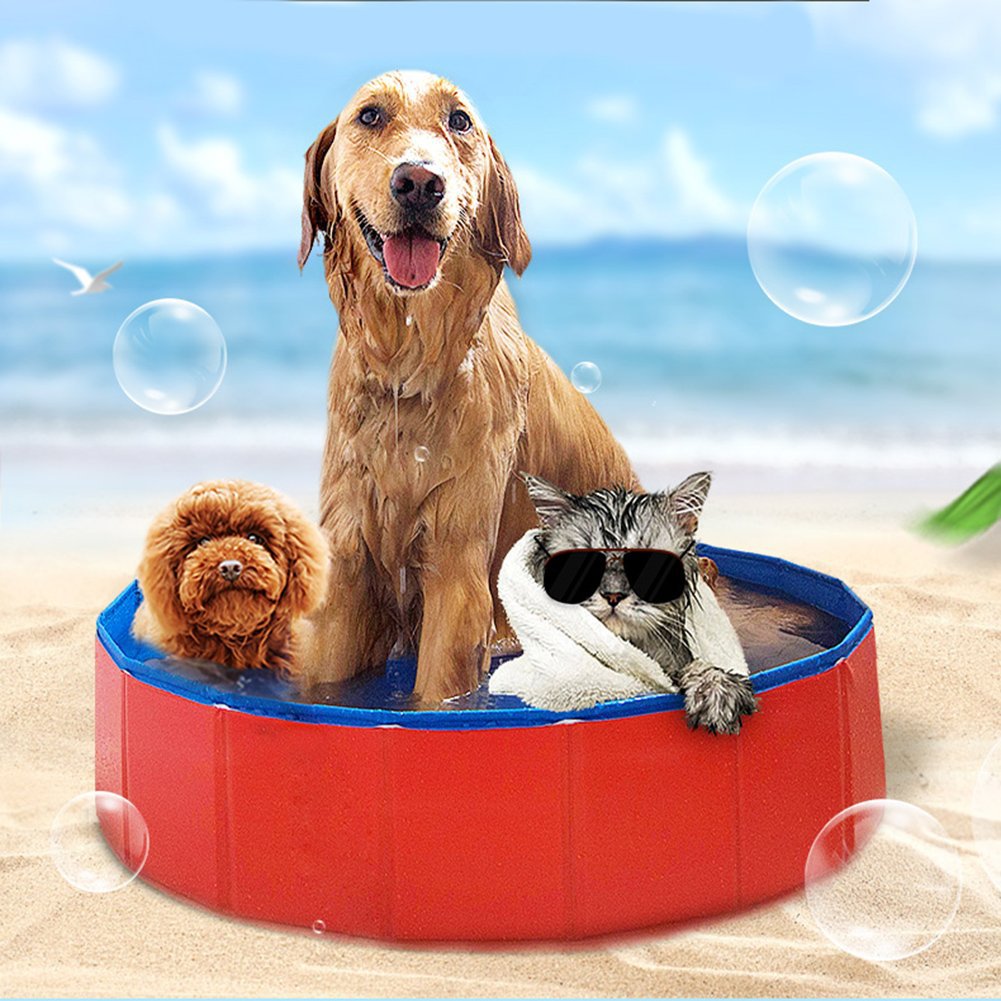 Outil de natation pour animaux de compagnie en PVC pliable portable extérieur