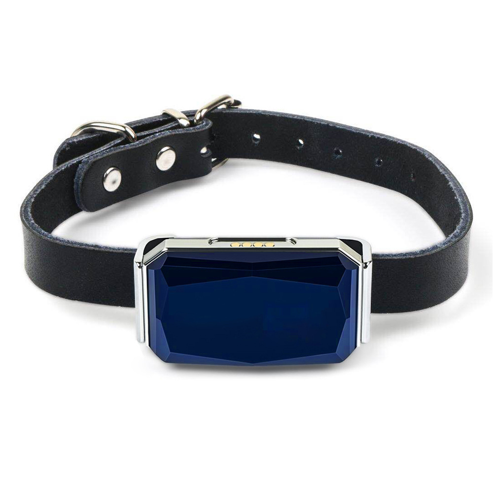 Collier de chien de suivi GPS sans fil Bluetooth extérieur à distance