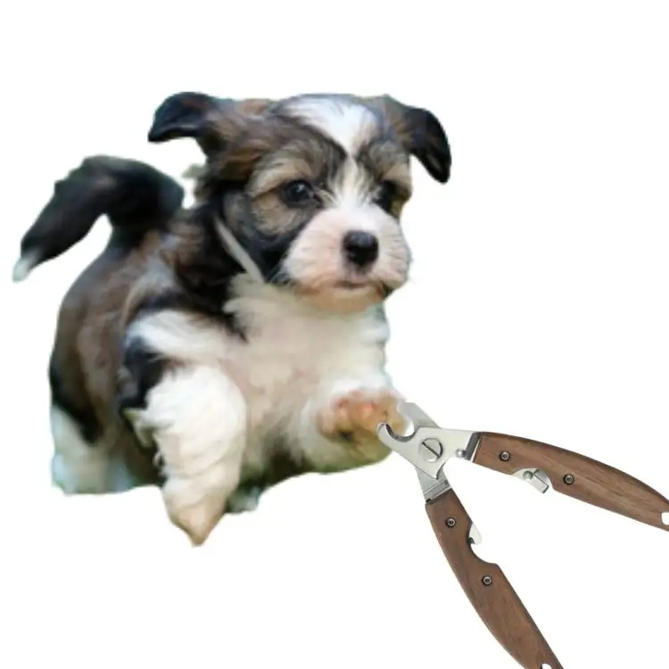 Outil de toilettage à ongles pour animaux de compagnie: Guide pour choisir le meilleur coup de ongle pour animaux de compagnie