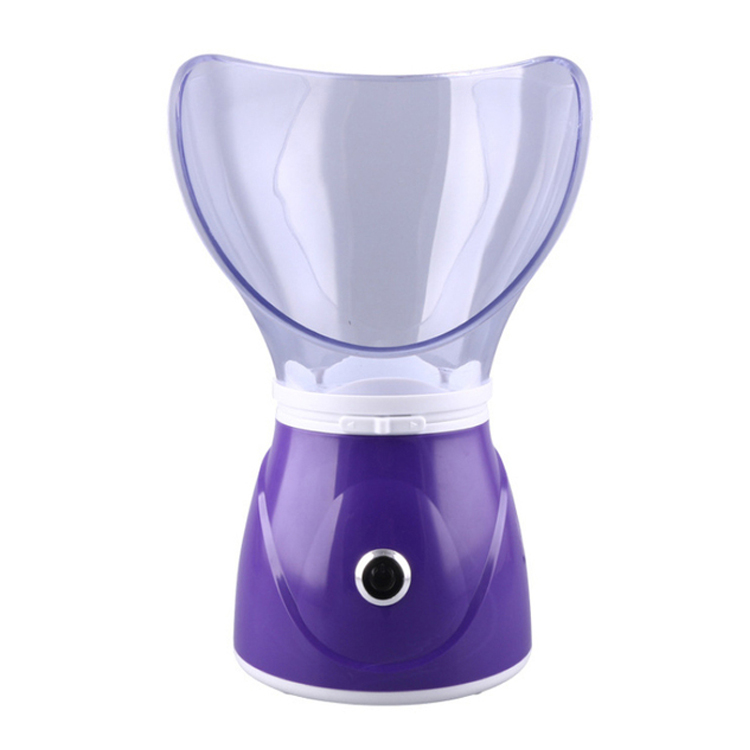 Inhalateur Portable Hydratant Nano Oxygen Ion Face Steamer