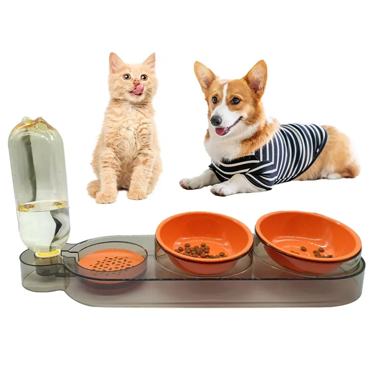 Conception professionnelle pour chats pour chiens alimentation bol mangeur de compagnie