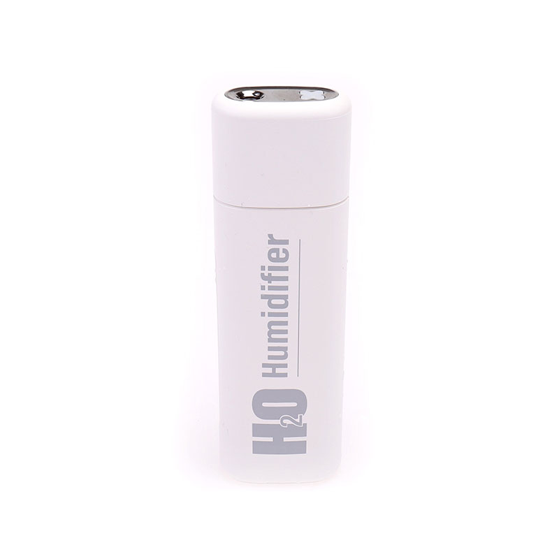 Humidificateur portatif rechargeable Fogger H2o