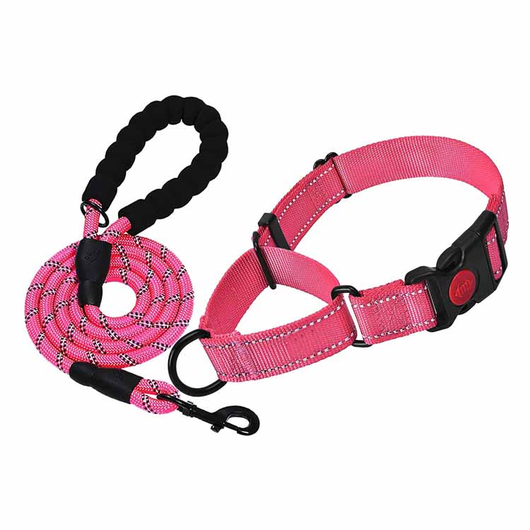 Ensemble de collier et laisse pour chien ajustable et réfléchissant