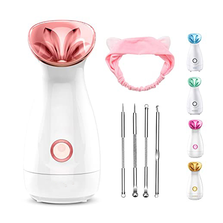 Sauna Spa Atomiseur Humidificateur Nano Ionic Facial Steamer