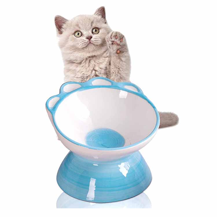 Bol de nourriture pour chats en céramique surélevé Slant Dog Feeder