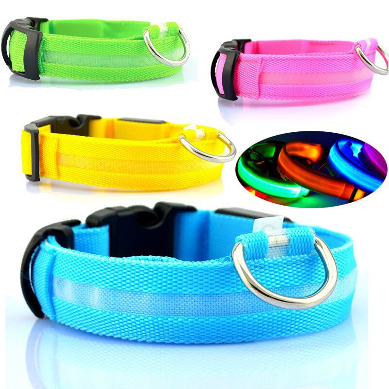 Collier de chien lumineux LED lumineux rechargeable USB