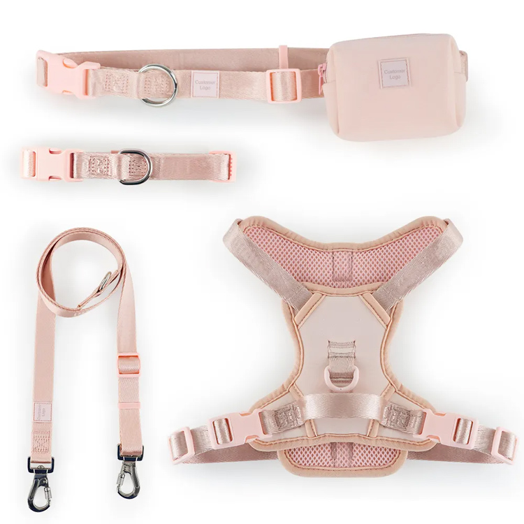 Gilet Set Adjudable Pet Redded Pet avec col et laisse